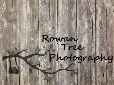 Rowan Tree Photography